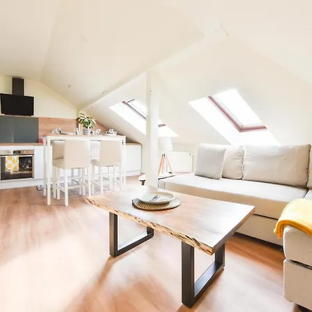 Appartement Apogee Mulhousienne à Mulhouse Extérieur photo