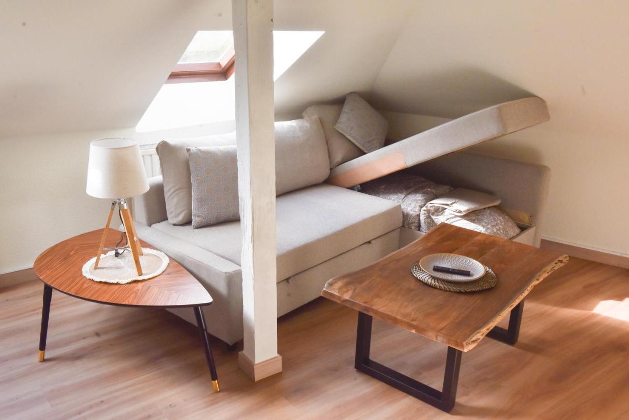 Apartment Apogee Mulhousienne *